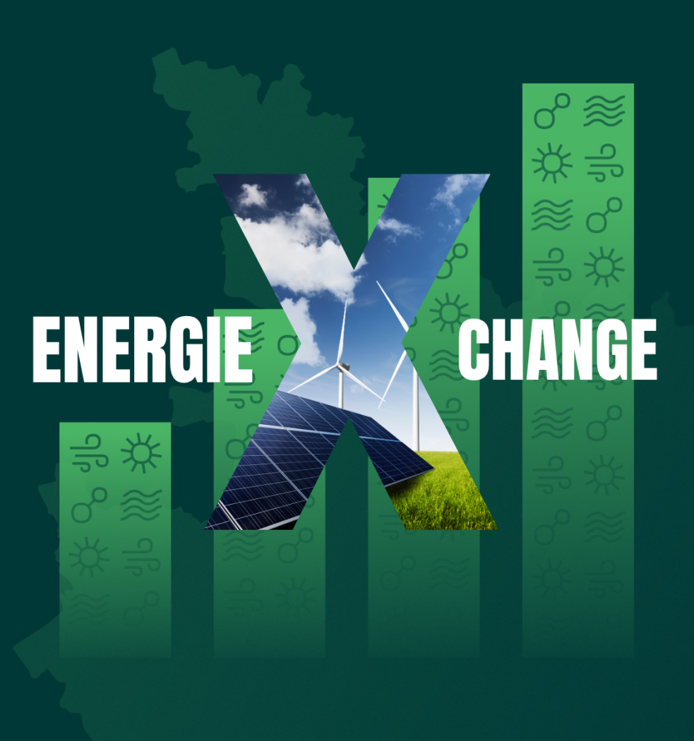 QLEE - energieXchange - LI  IG Post